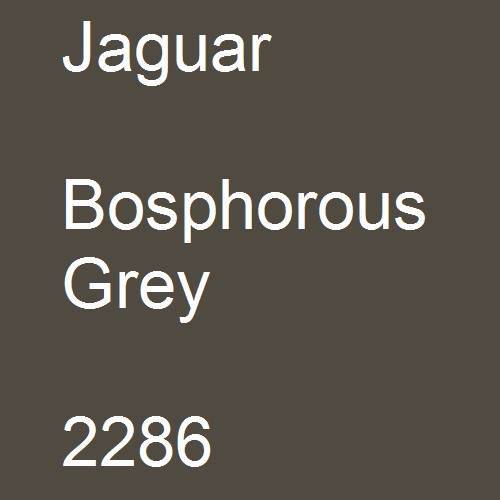 Jaguar, Bosphorous Grey, 2286.